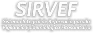 SIRVEF